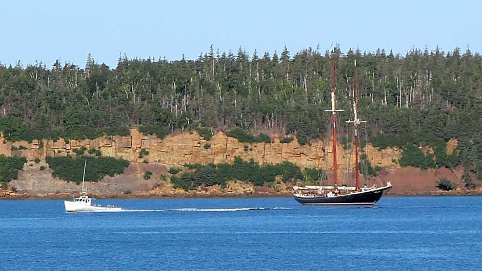 The Fiddle and the Sea Bed and Breakfast