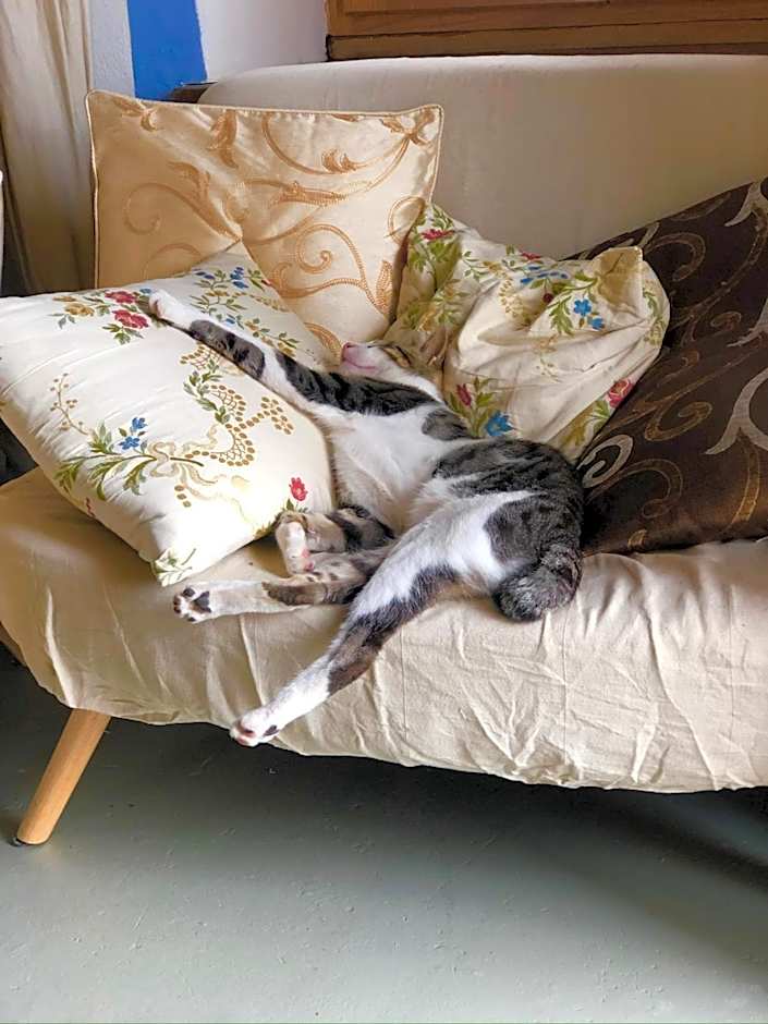 Viandanti, Artisti e Sognatori