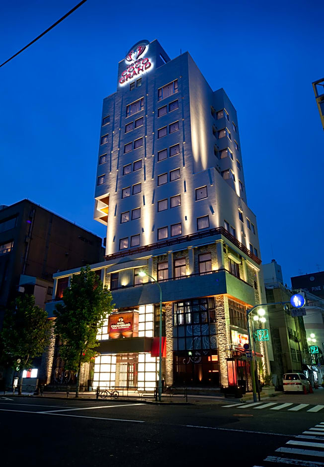 Hotel Coco Grand Ueno Shinobazu
