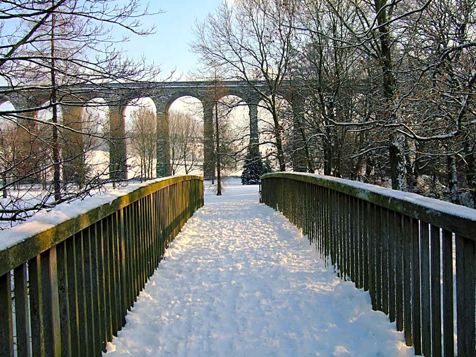 The Dog and Partridge