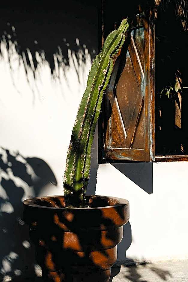 La Bohème Boutique Glamping