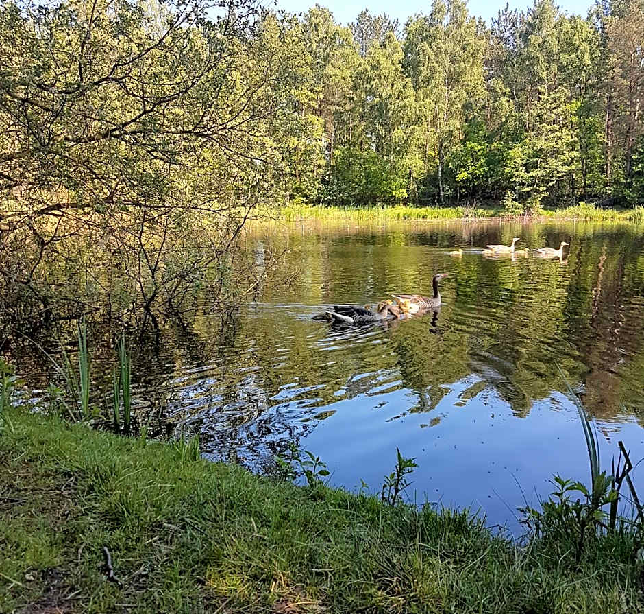 Vakantiepark Camping de Peelpoort