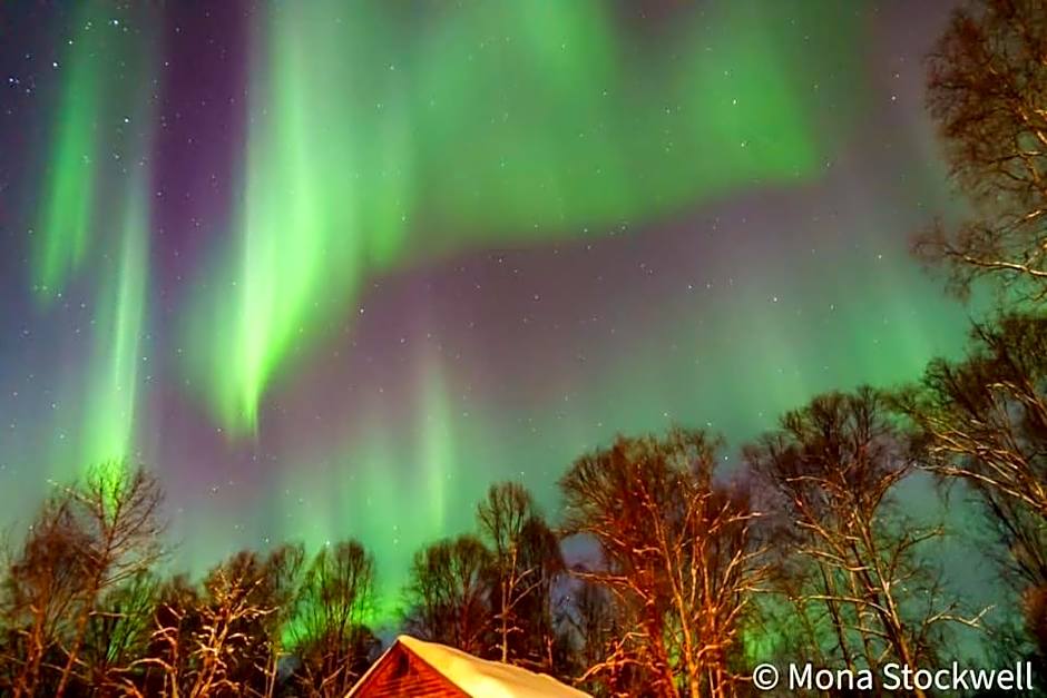 Susitna River Lodging, Suites