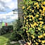 Il Mugello B&B