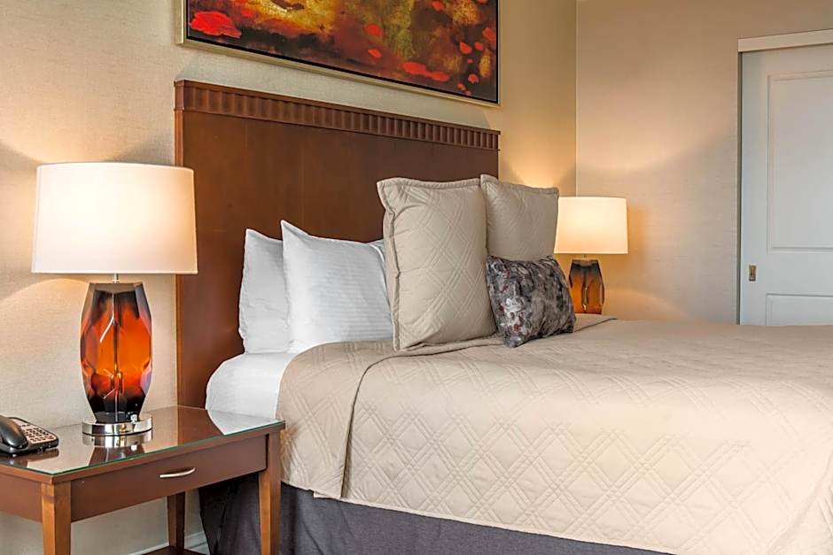 Omni Providence