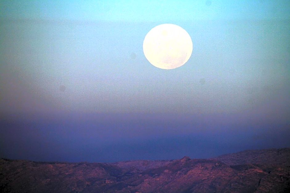 Simon’s Town Guest House