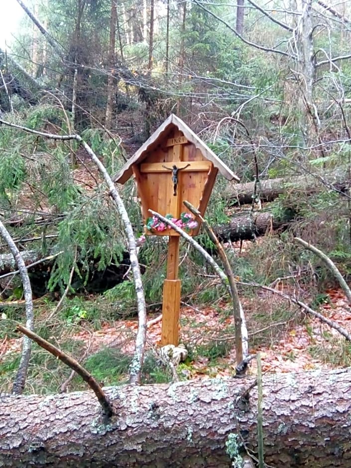 B&B Il Tulipano