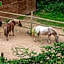Vilar Rural De Sant Hilari Sacalm by Serhs Hotels