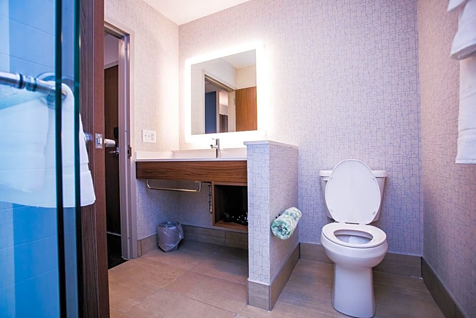 Holiday Inn Express and Suites Rehoboth Beach By IHG