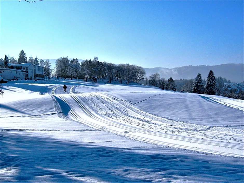 Parkhotel Flora am Schluchsee