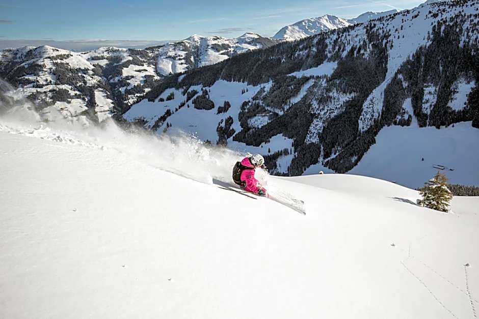 Hotel & Alpengasthof Pinzgerhof