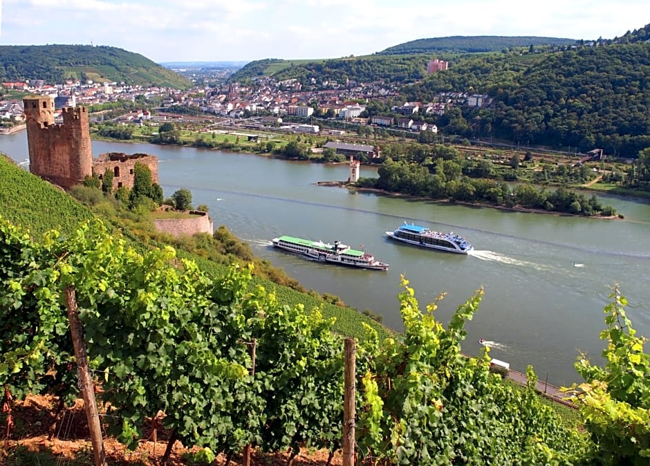 Weinhotel des Riesling Zum Grünen Kranz