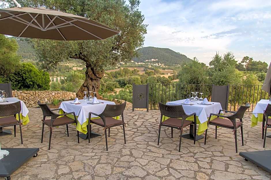 Fincahotel Treurer - Olive Grove & Grand House - Adults Only