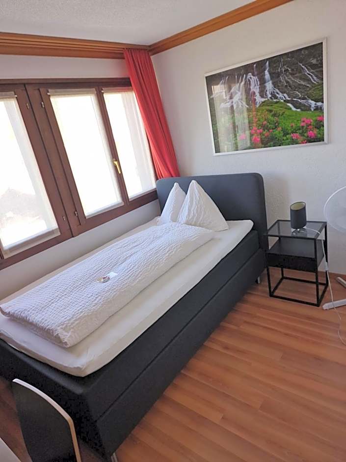 Hotel Alpha Thun