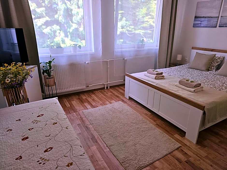 Villa Paradajs - ubytovanie pri jazere