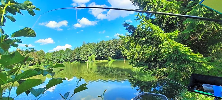 Les étangs du moulin d'Harcy