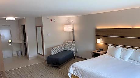 Standard King Room with Extra Space