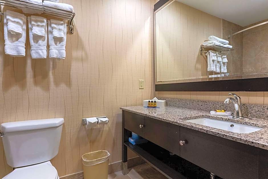 Best Western Plus South Edmonton Inn & Suites