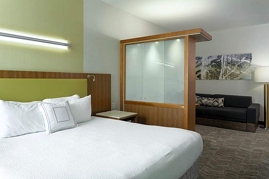 SpringHill Suites by Marriott Philadelphia Airport/Ridley Park