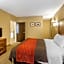 Comfort Inn & Suites Dalton