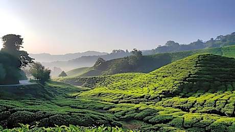 KPW at Royal Lily Apartment