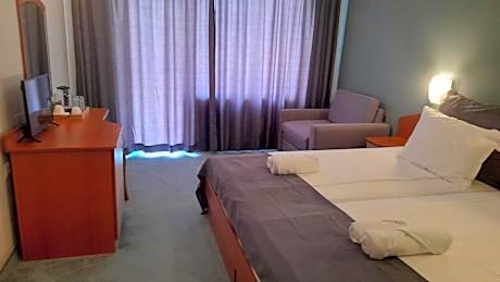 Double or Twin Room with Sofa Bed