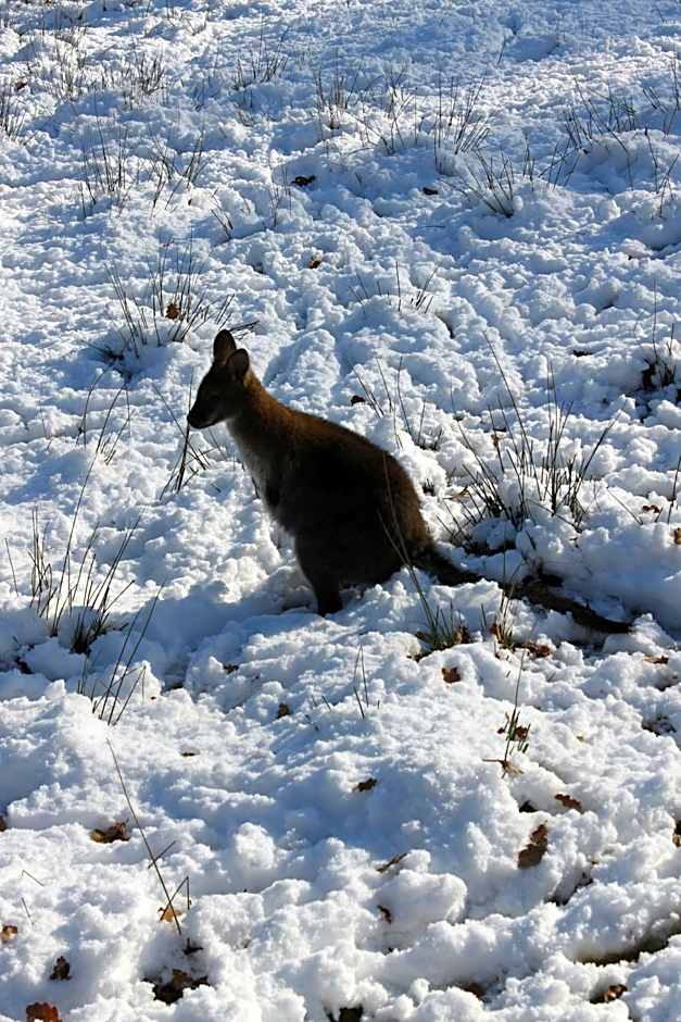 La Petite Ferme du Marais