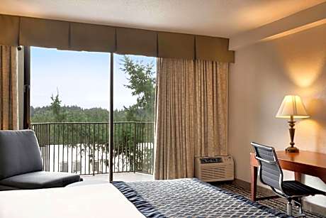 King Studio Suite with City View - Non-Smoking