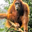 Gino's Place - Guest House & Jungle Trekking