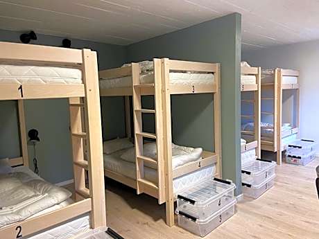 Bed in 8-Bed Mixed Dormitory Room