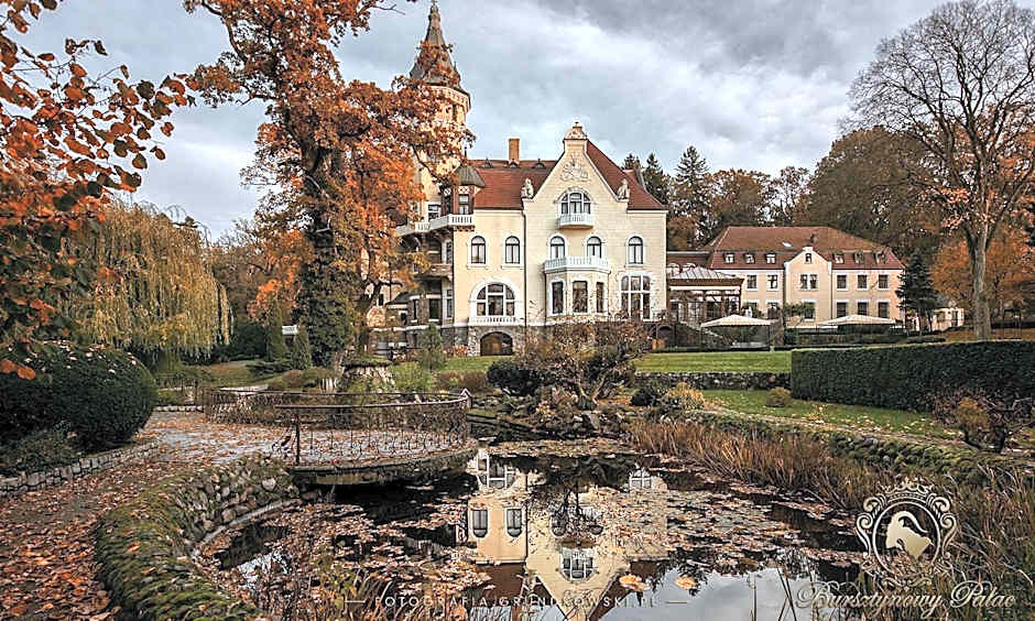 Hotel Bursztynowy Pałac