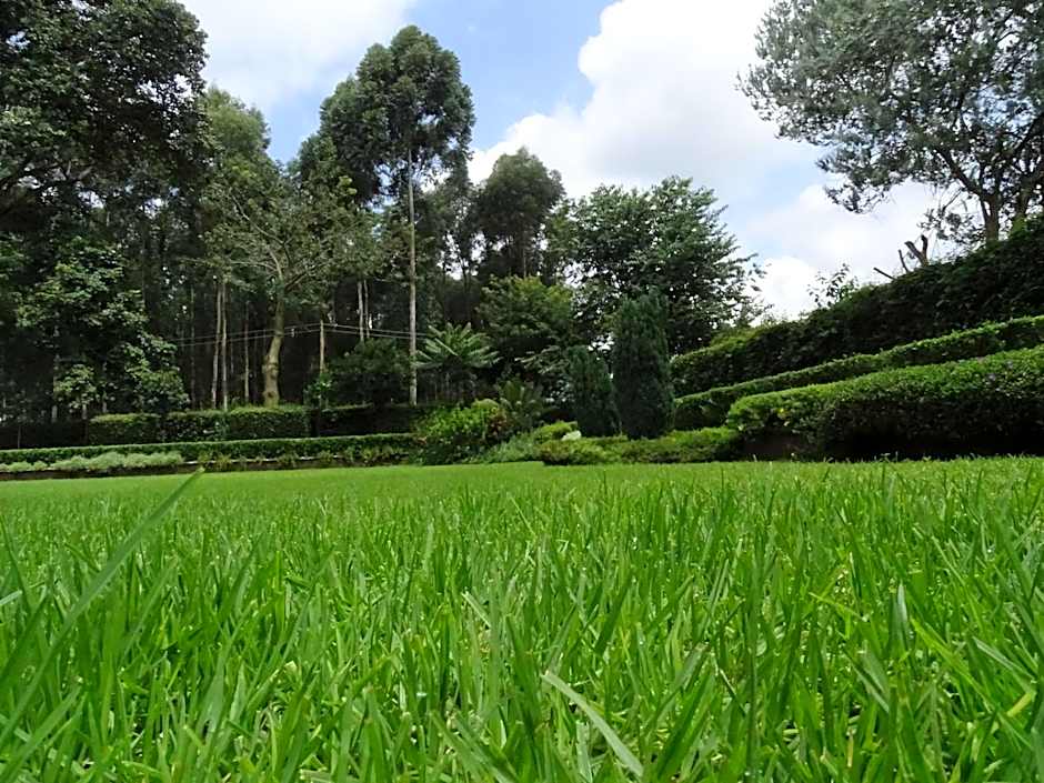 Le Pristine Wellness and Healing Hotel