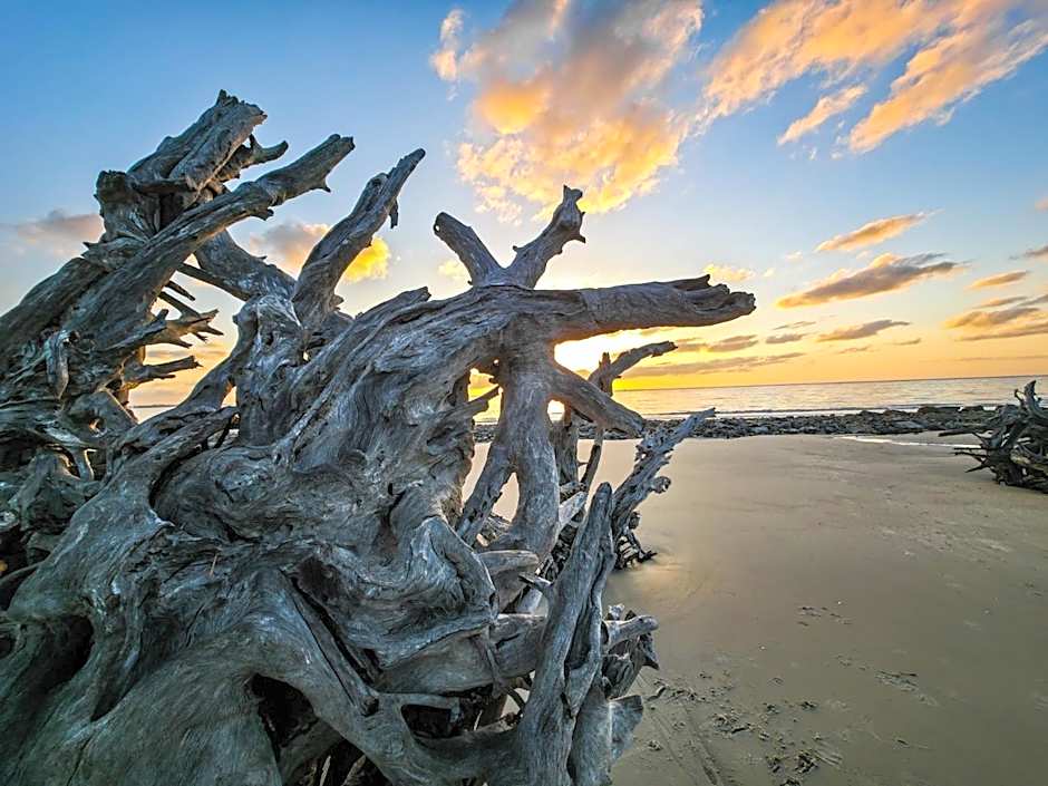 Hampton Inn By Hilton And Suites Jekyll Island