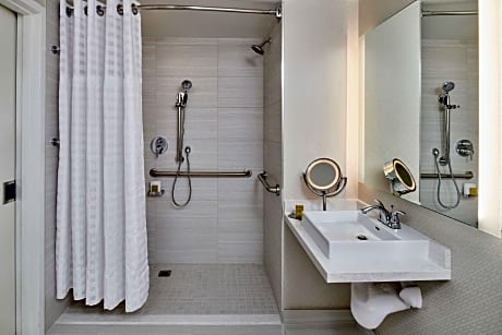 1 King Deluxe Accessible Roll in Shower Non-Smoking