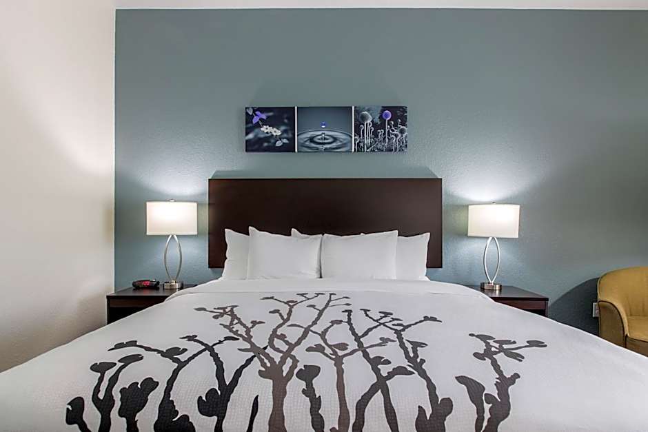 Photo 1 of 4 of 1 Bedroom 1 King Bed with Sofabed Suite