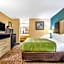 Quality Inn Cullman I-65 Exit 310