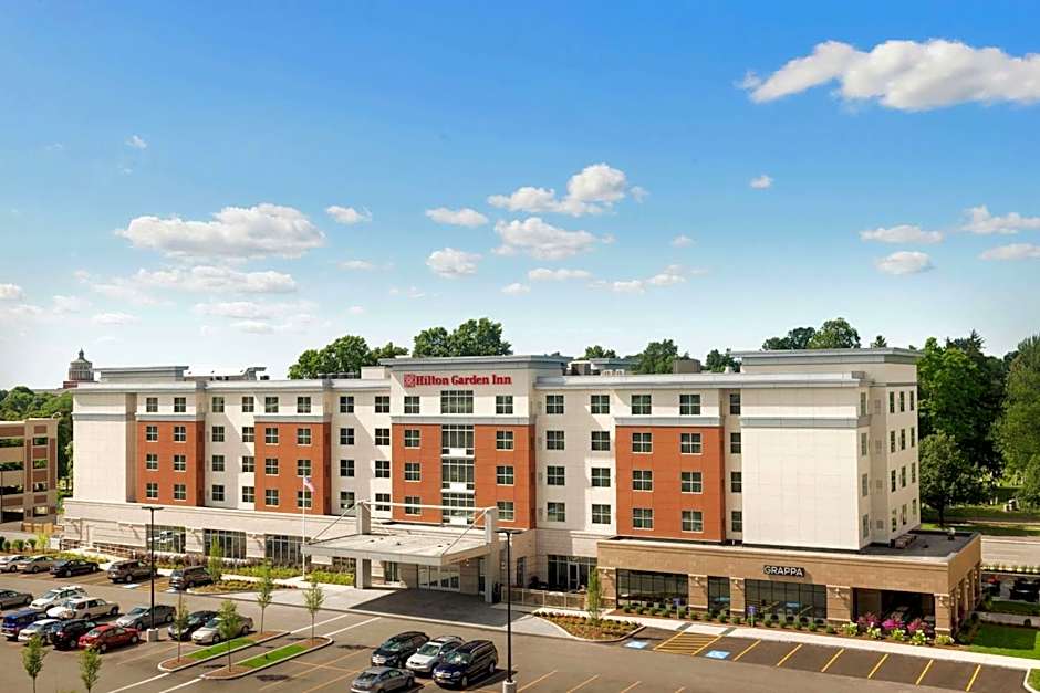 Hilton Garden Inn Rochester/University & Medical Center