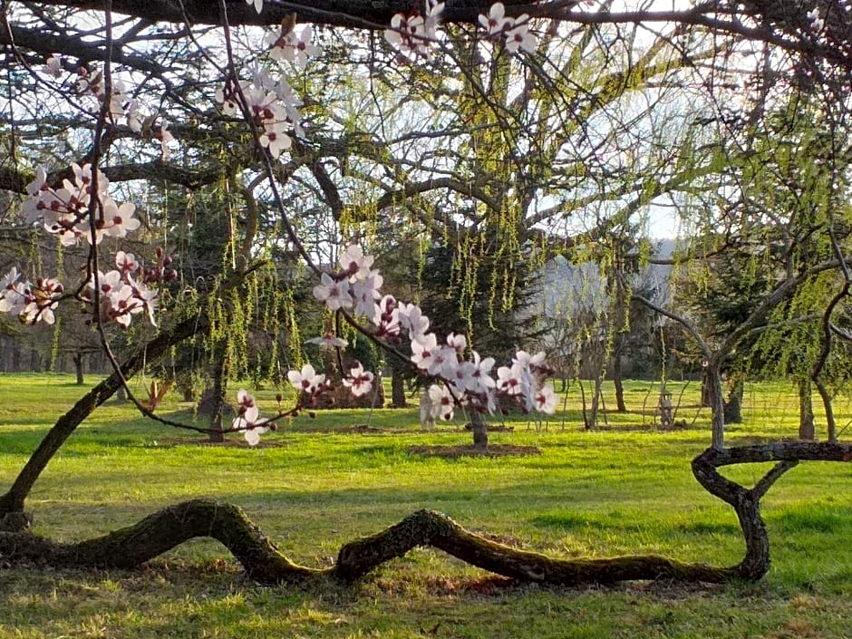 DOMAINE BERENGUER