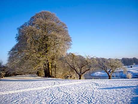 Suite with Garden View