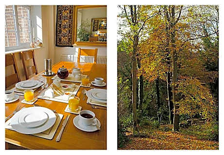 Woodland Views