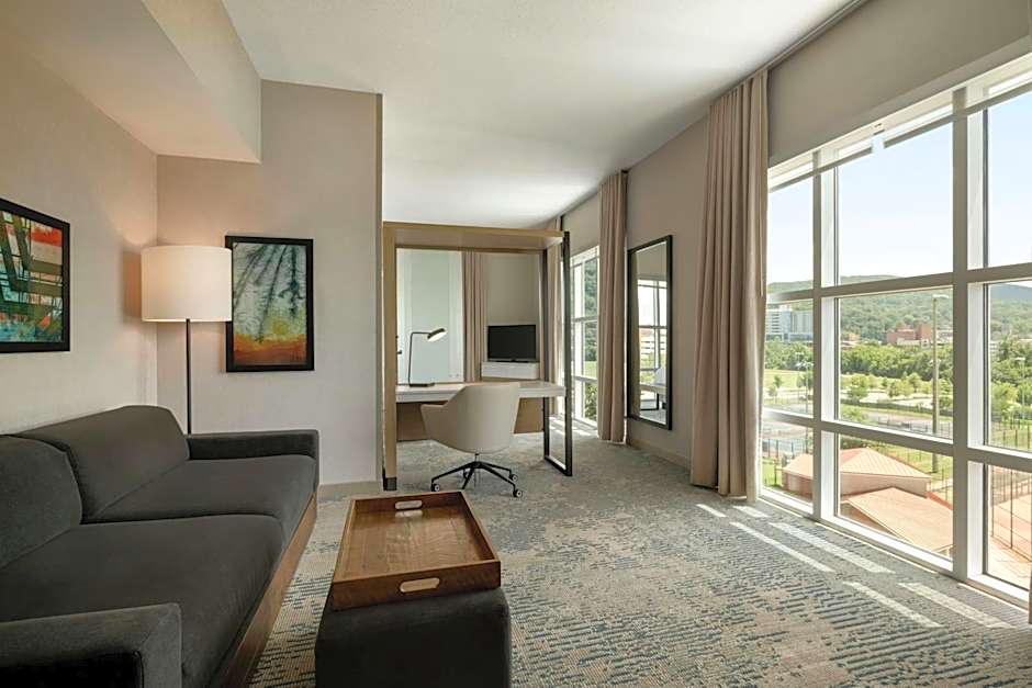 SpringHill Suites by Marriott Roanoke