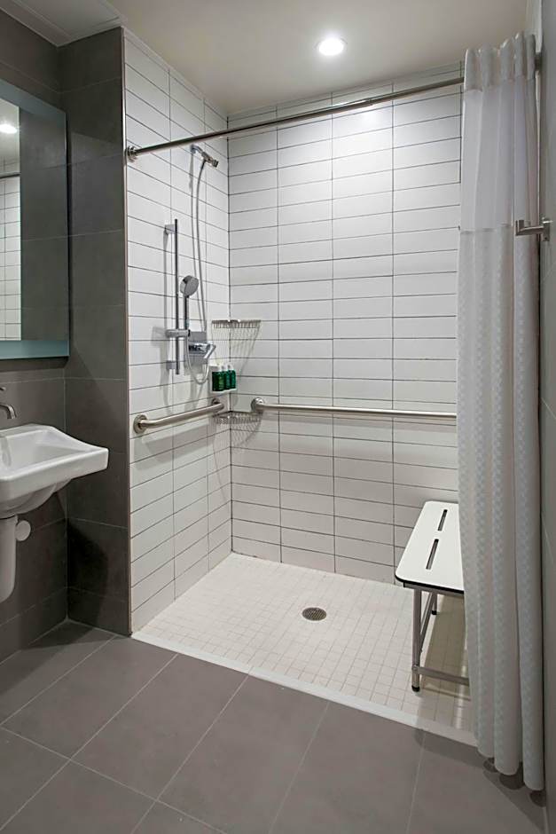 TownePlace Suites by Marriott New York Long Island City/Manhattan View