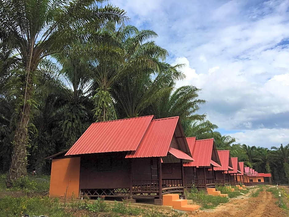 Khao Sok Evergreen House
