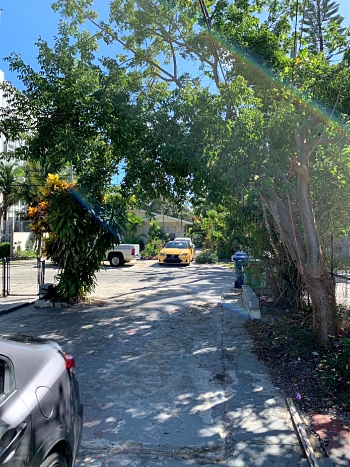 Eco-shared Wynwood