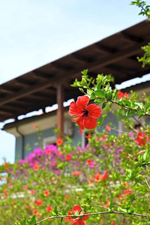 Villaggio Hotel Lido San Giuseppe