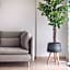Athenian home