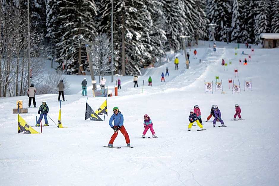 Dorf-Chalets Filzmoos mit Sauna