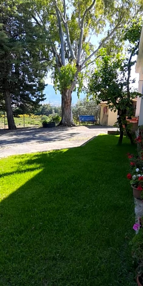 La Gallina Nel Castello