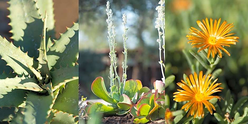 Ku Sungula Safari Lodge