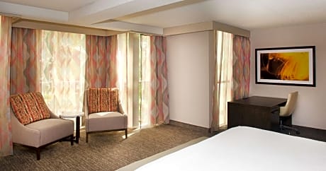 1 KING DLX STE MOBILITY/HEARING ACCESS TUB NS